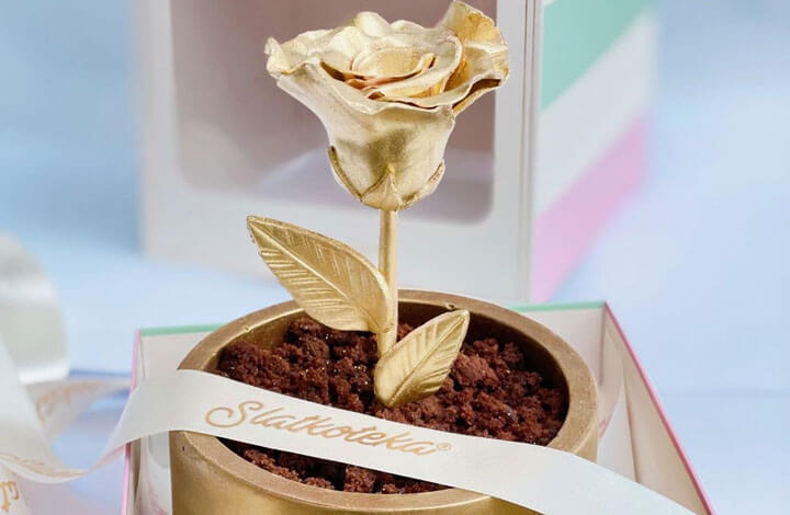 Čokoladna saksija i zlatna ruža kao poklon za 8. mart