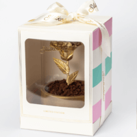 Čokoladna saksija sa ružom 650g