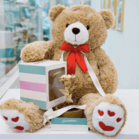 Valentines poklon paket 2 (sa medom 80cm i čokoladnom saksijom sa ružom)