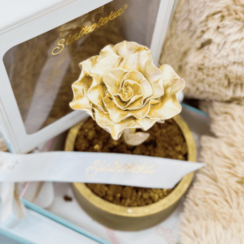 Valentines poklon paket 2 (sa medom 80cm i čokoladnom saksijom sa ružom)