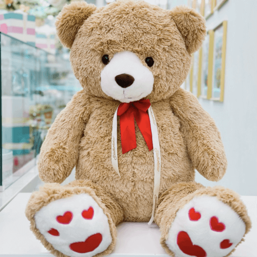 Valentines poklon paket 2 (sa medom 80cm i čokoladnom saksijom sa ružom)